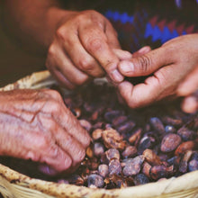 Load image into Gallery viewer, OUT OF STOCK -1 LB BLOCK of pure Cacao Paste, from Mayan Women Collective in Guatemala